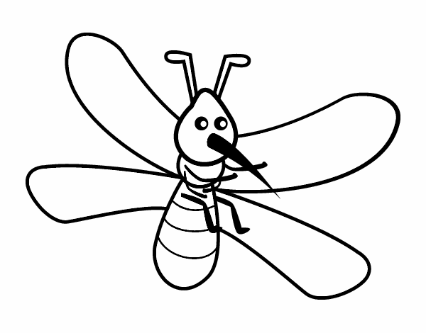 Mosquito com grandes asas