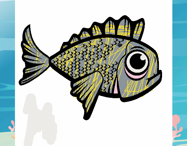 Peixe 2