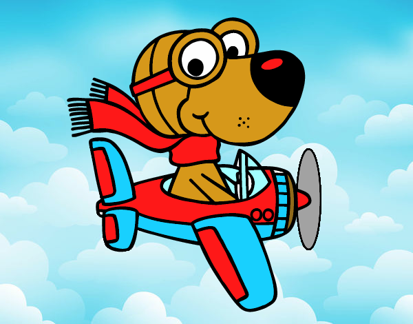 Cachorro aviador