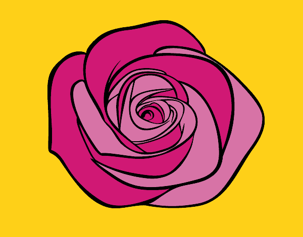 Desenho Flor de rosa pintado por luaspezia