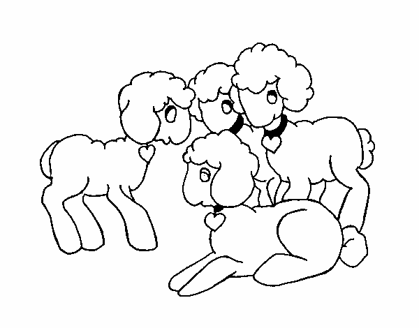 Ovelhas
