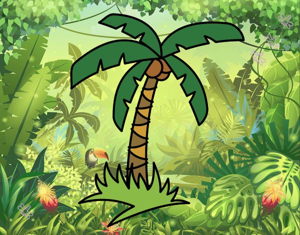 Palmeira tropical