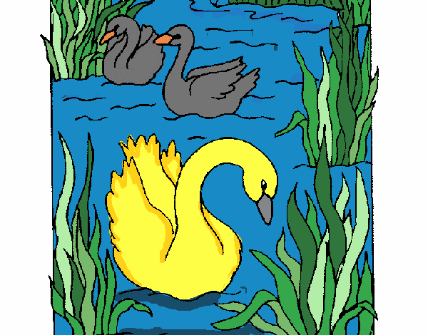 Desenho Cisnes pintado por Marta29