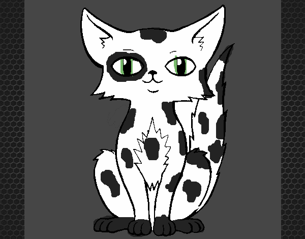 Desenho Gato persa pintado por camila1