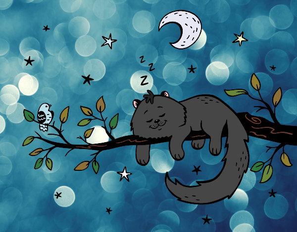 Desenho O gato ea luna pintado por Keda