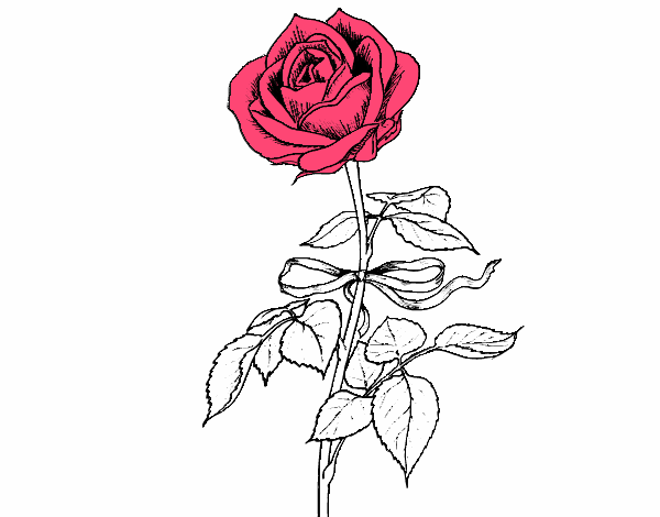 Desenho Uma rosa pintado por annycopque