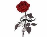 Desenho Uma rosa pintado por izisena