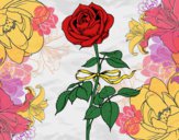 Desenho Uma rosa pintado por Tataemax
