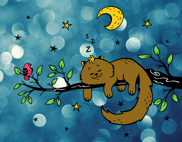 Desenho O gato ea luna pintado por sonhadora