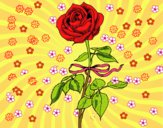 Desenho Uma rosa pintado por veraluz