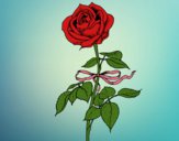 Desenho Uma rosa pintado por jehangelis