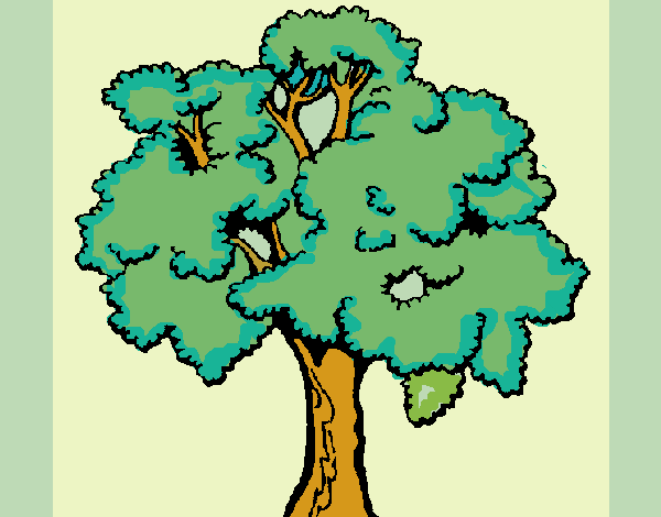 Árvore 1
