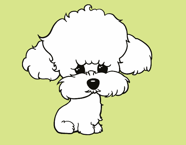 Desenho Cachorro de poodle pintado por sorte