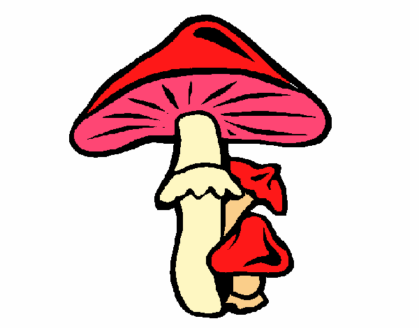 Desenho Cogumelos pintado por Eugenia