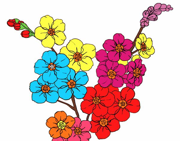 Desenho Flor de cerejeira pintado por cyntia