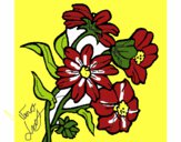 Desenho Flores pintado por veraluz