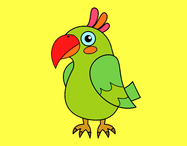 Desenho Papagaio tropical pintado por fatimabati