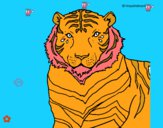 Desenho Tigre pintado por lhayzlla