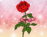 Desenho Uma rosa pintado por AndriellyR