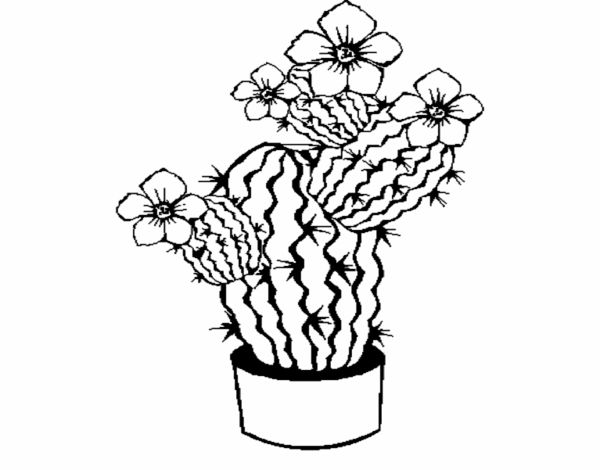 Desenho de Flores de cacto para Colorir - Colorir.com