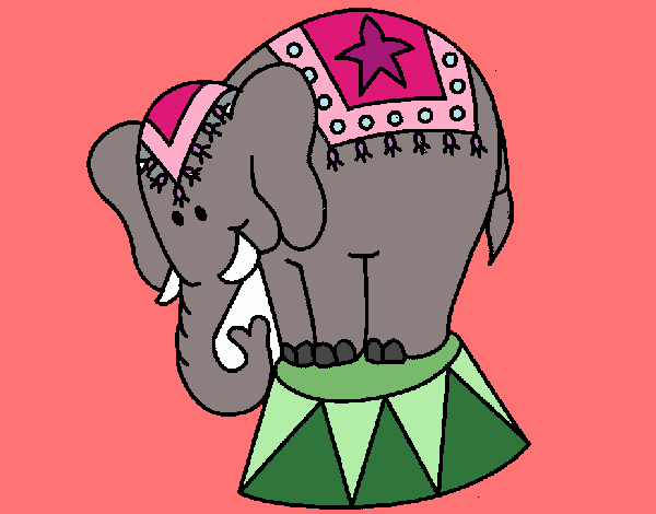 Desenho Elefante a actuar pintado por enzo2015