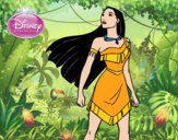 Desenho Pocahontas - Princesa Pocahontas pintado por loen