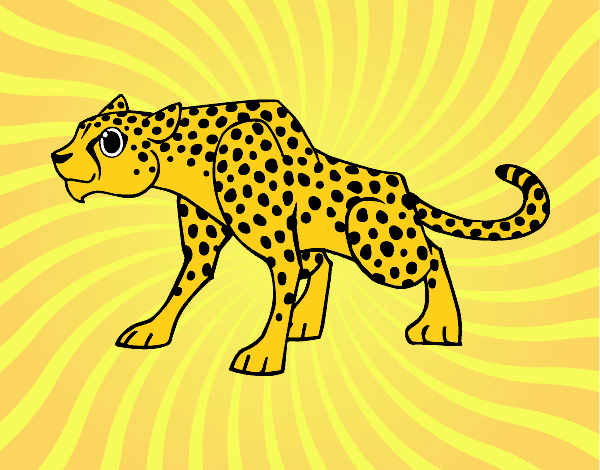 Desenho Um guepardo pintado por loen