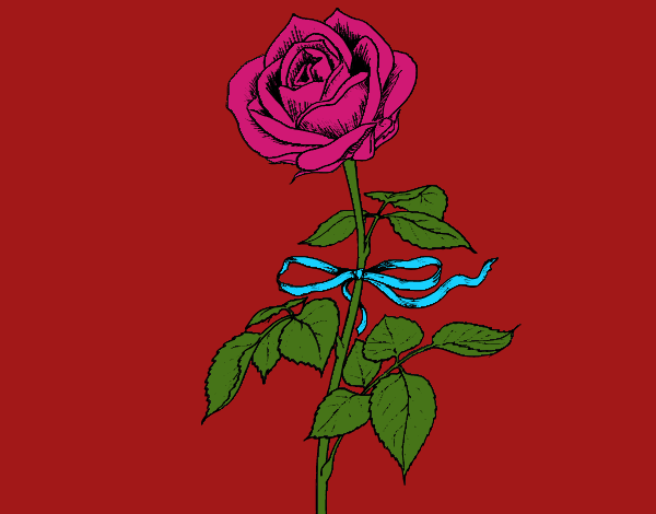 Desenho Uma rosa pintado por shirloka