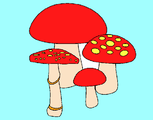 Desenho Cogumelos pintado por fabyan