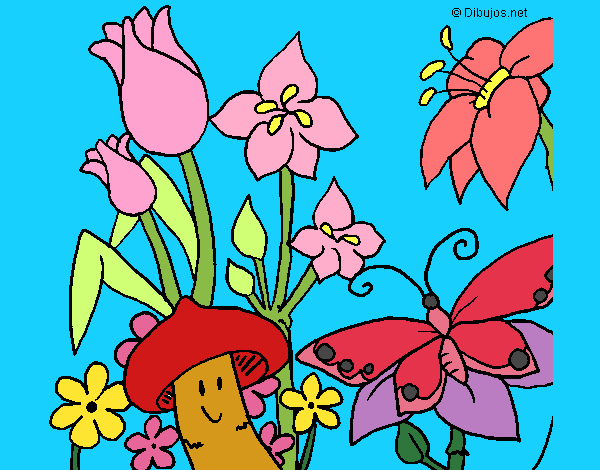 Desenho Fauna e Flora pintado por gisel