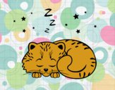Desenho Gatito dormindo pintado por francarol