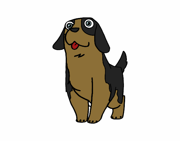 Desenho Cão São bernardo jovem pintado por BelMorim
