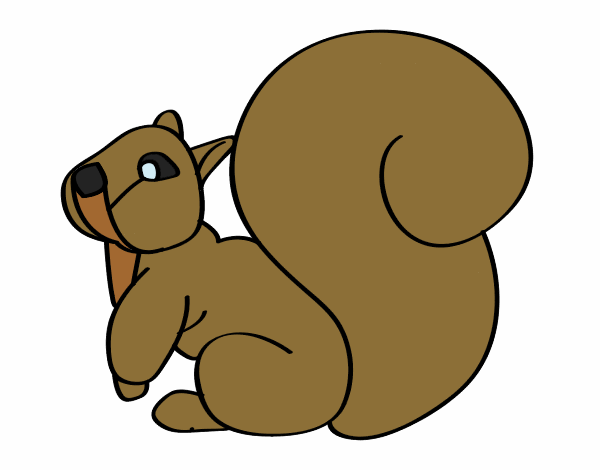 Desenho Esquilo com uma cauda grande pintado por BelMorim