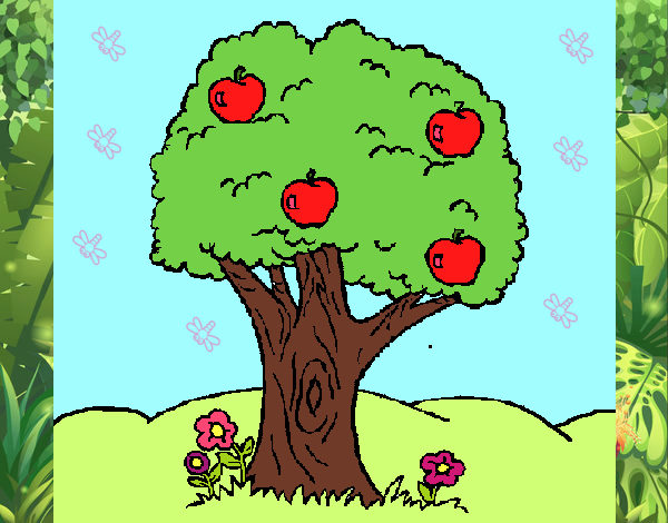Desenho Macieira  pintado por Dabejon