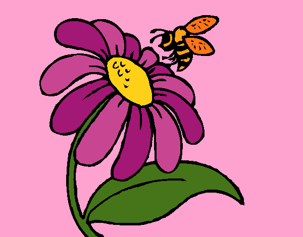 Desenho Margarida com abelha pintado por Dabejon