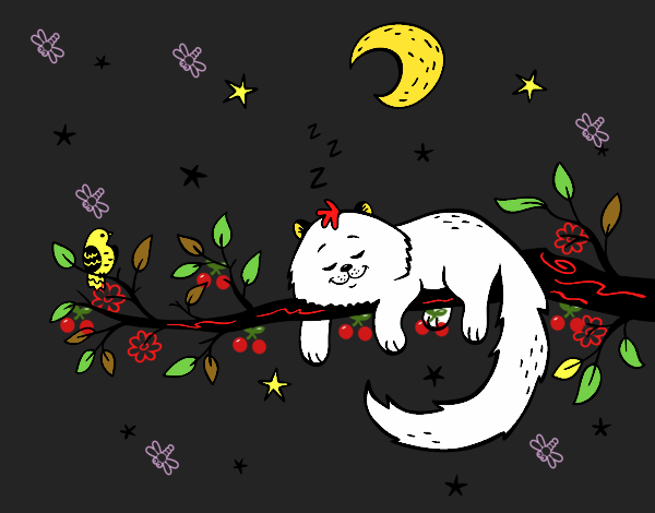 Desenho O gato ea luna pintado por marilurdes