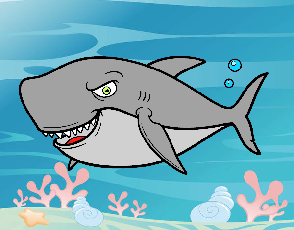 Desenho Tubarão dentuço pintado por BelMorim