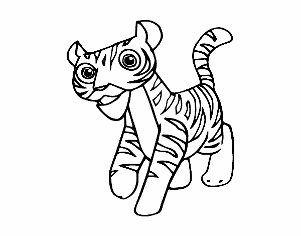 Um tigre