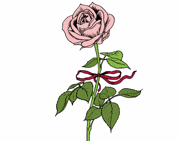 Desenho Uma rosa pintado por BelMorim