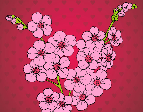 Desenho Flor de cerejeira pintado por Cello