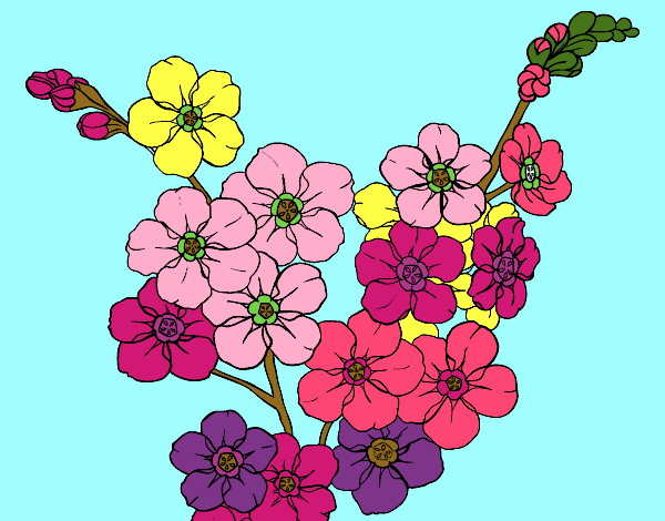 Desenho Flor de cerejeira pintado por Roza