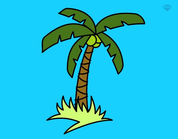 Desenho De Palmeira Tropical Pintado E Colorido Por Wikelya O Dia 14 De Julho Do 2015