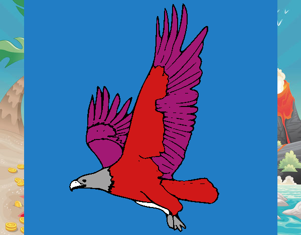 Desenho de Águia a voar pintado e colorido por Usuário não registrado o