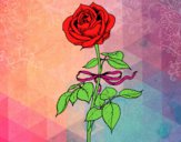 Desenho Uma rosa pintado por pepe2002