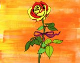Desenho Uma rosa pintado por ale3170