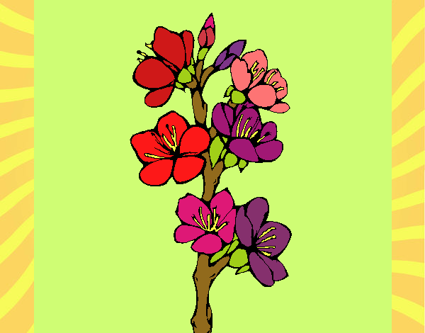 Desenho Flores de campo pintado por sonhadora
