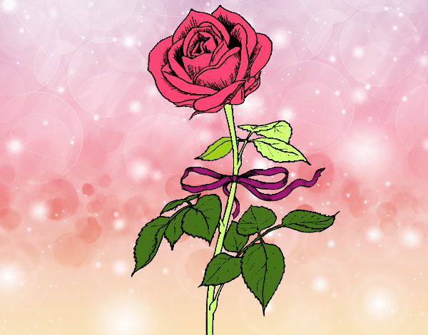 Desenho Uma rosa pintado por Renatacos