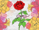 Desenho Uma rosa pintado por sonhadora