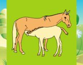 Desenho Cavalos pintado por Margarida-