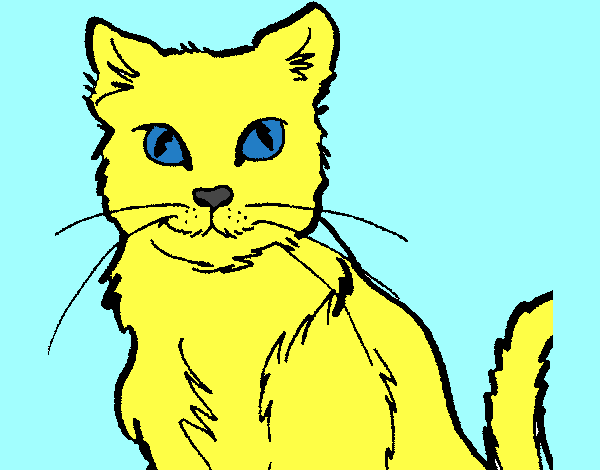Desenho Gato pintado por Nilton27